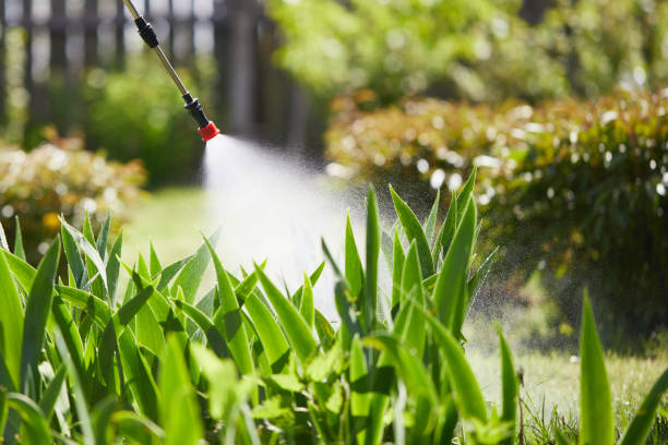 Tamper-Resistant Bait Stations for Rodents in Big Lake