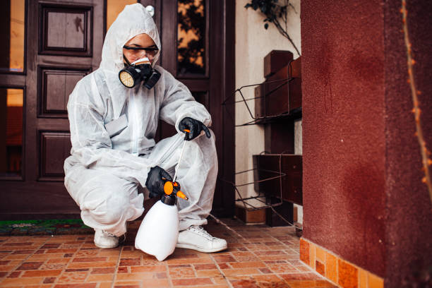 Attic and Crawl Space Rodent Treatment in Big Lake